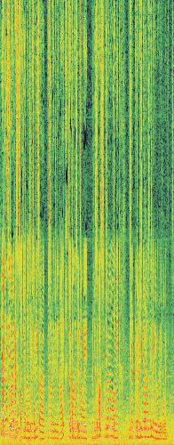 Spectrogram